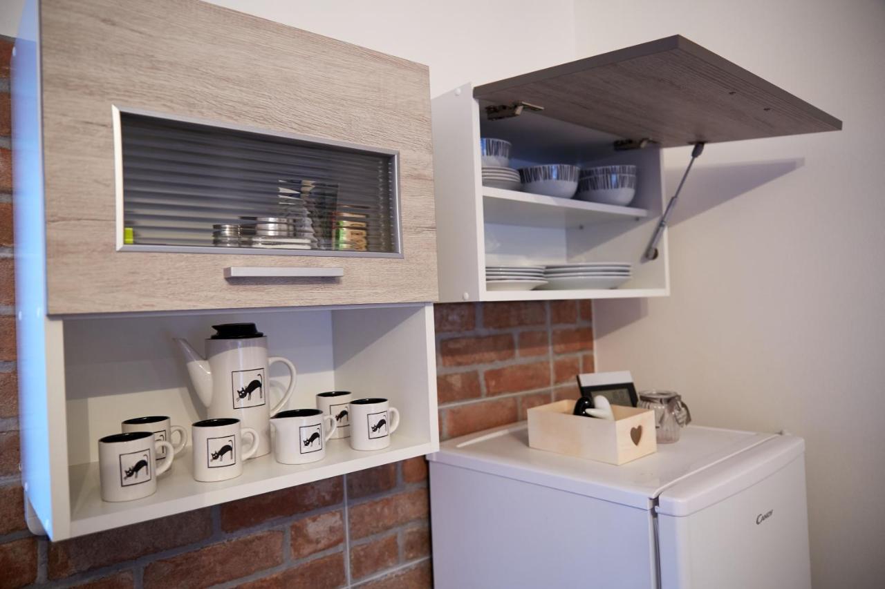 Biskupice Apartment *